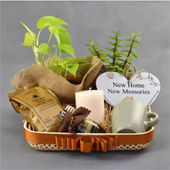 Housewarming Wishes Gift Hamper : Birthday Gifts to Ajman