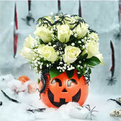 Roses and Spiders