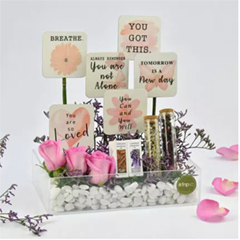 Calm And Wellness Wishes - Flower Delivery in Ajman