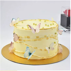 Best Wishes Butterfly Chocolate Cake