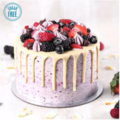 Sugar Free Vanilla Berry Delight- Half Kg
