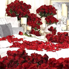 Dreamy 300 Red Roses and Candle Decor