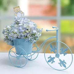 Sophisticated Blue - Love N Romance