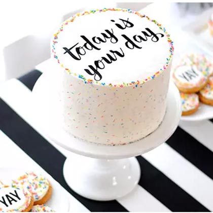 Special Moments Celebration Chocolate Cake Half Kg