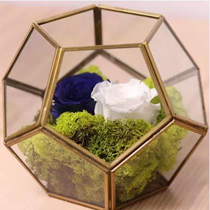 Blue and White Roses In Designer Base