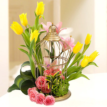 Paradisiacal Fantasy