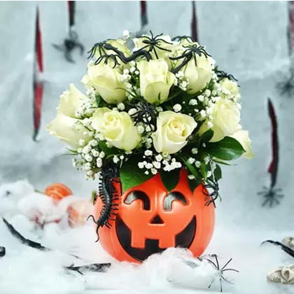 Roses and Spiders
