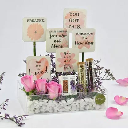 Calm And Wellness Wishes